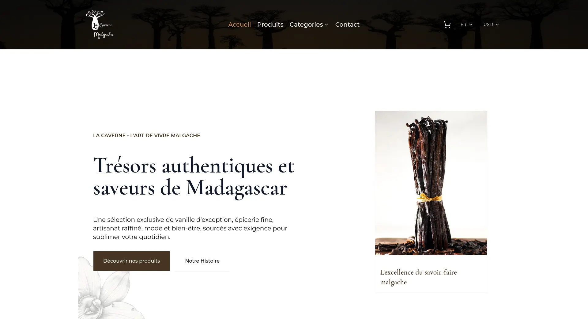 Site e-commerce